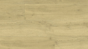 Gerflor Klick Vinyl - Virtuo 55 Rigid Acoustic Sunny Nature | Trittschalldämmung integr. (39050997)