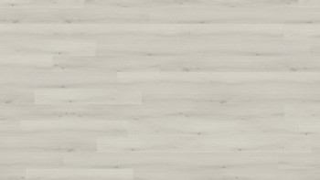 planeo Vinile multistrato - Strong Arctic Oak Light Grey (HC-MLD-00219)